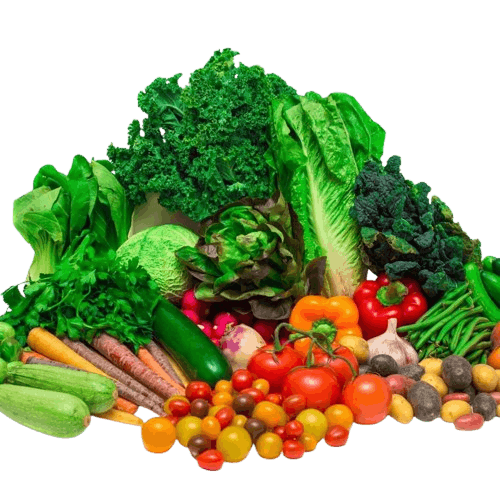 Fresh vegetables
